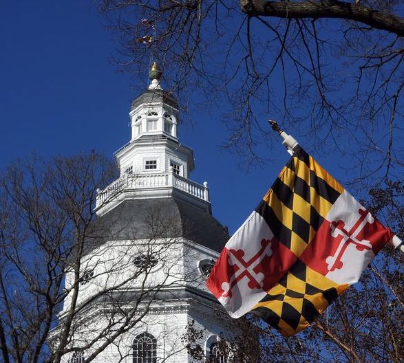 Image of Maryland Dome and Flag